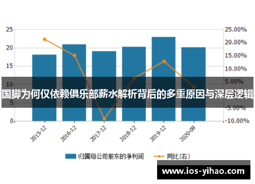 国脚为何仅依赖俱乐部薪水解析背后的多重原因与深层逻辑