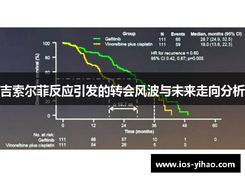 吉索尔菲反应引发的转会风波与未来走向分析