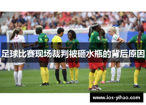 足球比赛现场裁判被砸水瓶的背后原因